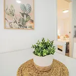 Cactus Oasis - Junto Al Mar
