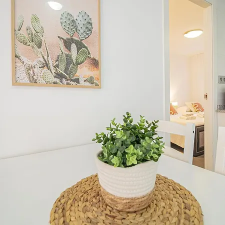 Cactus Oasis - En Del Mar Menor, Urbanizacion Manga Club 17