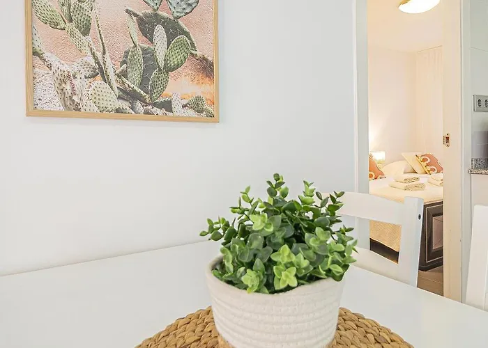 Cactus Oasis - Junto Al Mar